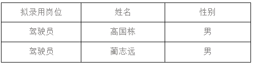 山東前程似錦人力資源有限公司擬錄用人員公示